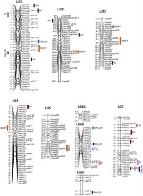 Mapping QTLs Controlling Flowering Time and Important Agronomic Traits in Pearl Millet